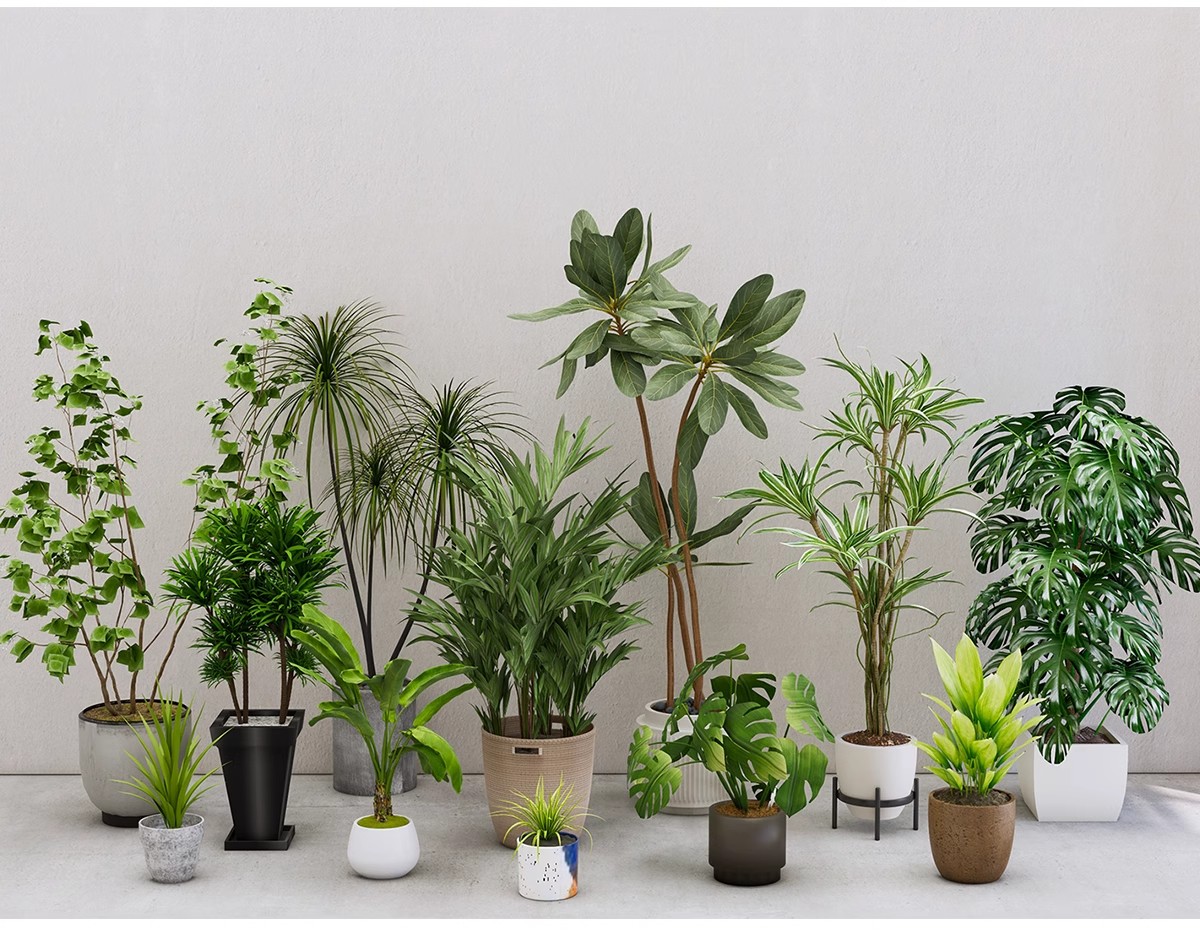 图片[20]-1750套，绿植植物花盆盆栽盆景松树单体草图大师SU模型室内花卉花草素材库-大怪兽分享