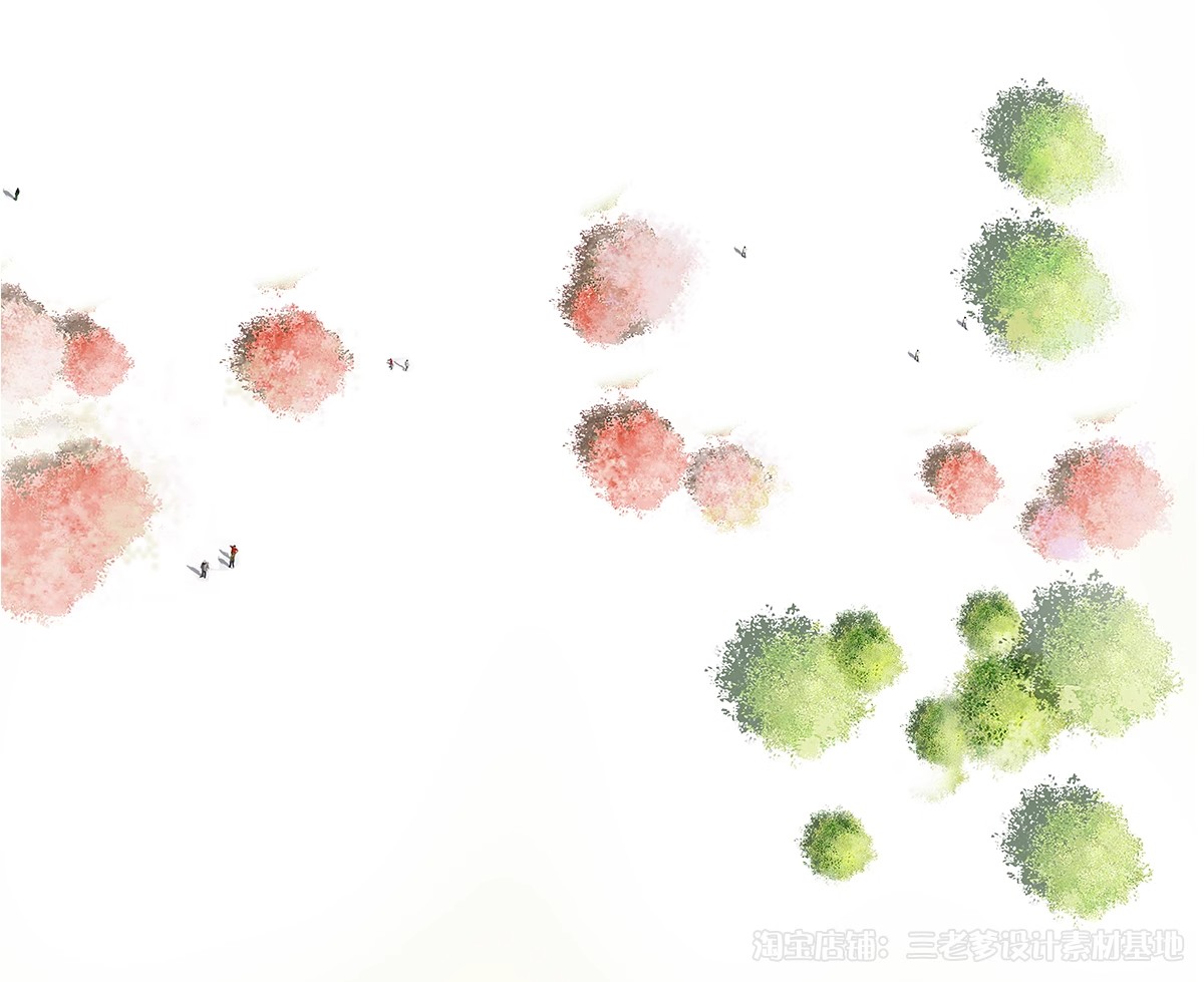 图片[20]-园林景观PS彩色总平面图案笔刷立面填充植物铺装psd分层设计素材-大怪兽分享