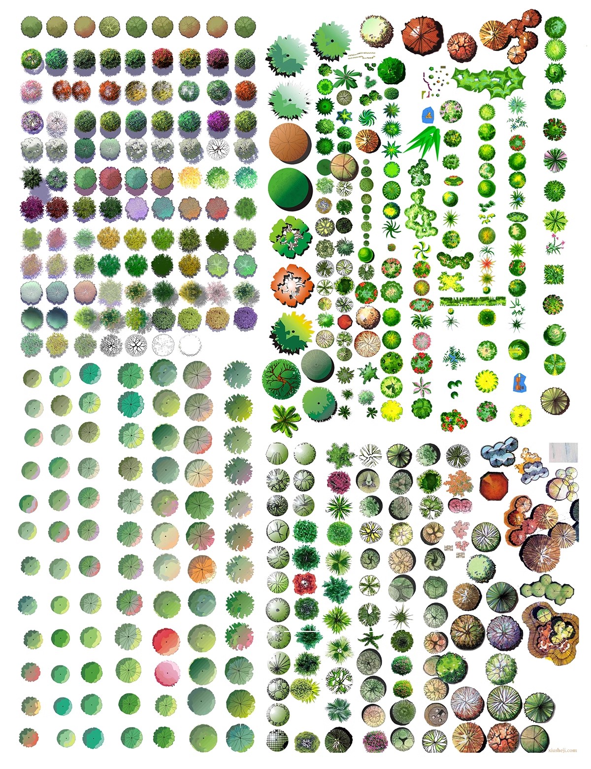 图片[19]-6000+，小清新PS彩平图园林景观规划总平面拼贴植物草地铺装纹理后期素材-大怪兽分享