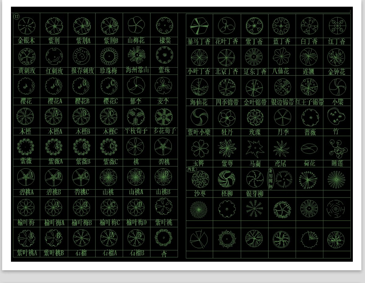 图片[21]-园林景观设计CAD植物图块人物平面立面铺装拼花施工图库图例素材-大怪兽分享