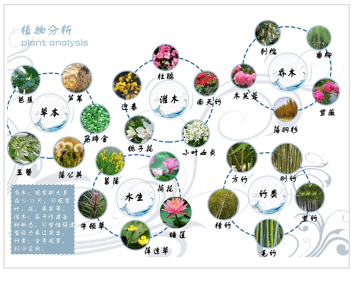 图片[19]-景观园林园艺植物配置PSD分层 绿植树木PS分析图种植搭配素材-大怪兽分享