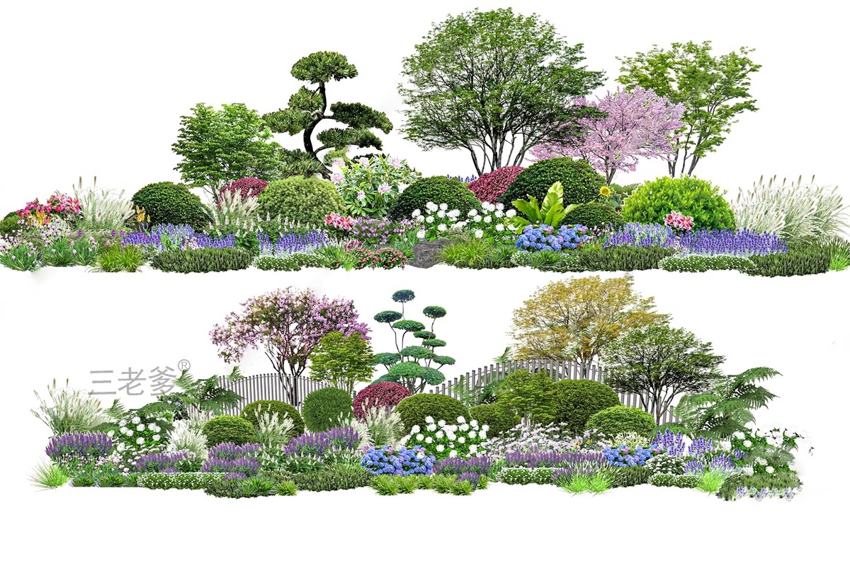 图片[21]-园林景观花镜花境植物配置地被花丛花草花卉草花组团搭配su模型库-大怪兽分享