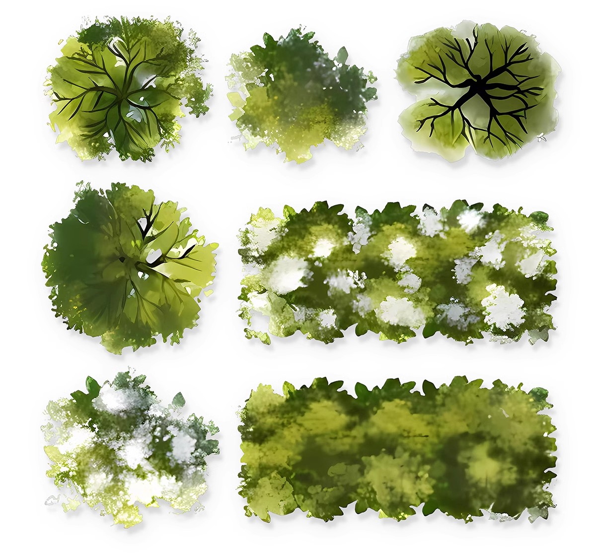 图片[20]-6000+，小清新PS彩平图园林景观规划总平面拼贴植物草地铺装纹理后期素材-大怪兽分享