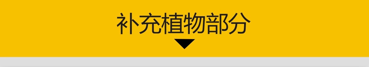 图片[22]-园林景观设计CAD植物图块人物平面立面铺装拼花施工图库图例素材-大怪兽分享