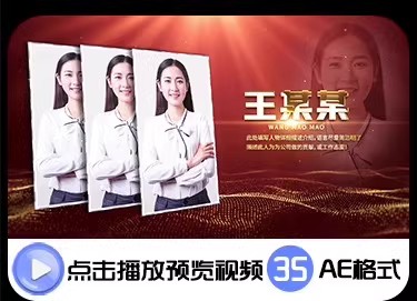 图片[22]-AE模板简洁大气企业人物介绍简介展示年度表彰年会颁奖优秀员工-大怪兽分享