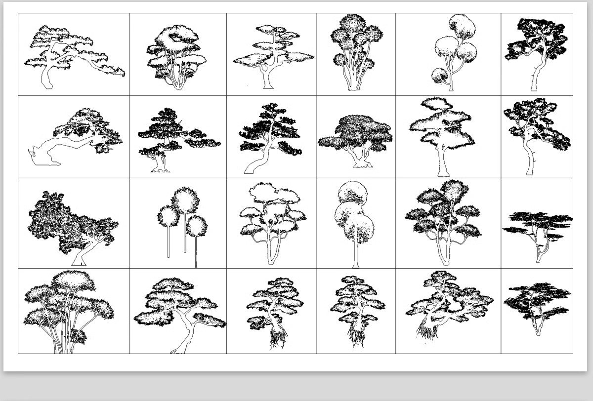 图片[26]-园林景观设计CAD植物图块人物平面立面铺装拼花施工图库图例素材-大怪兽分享