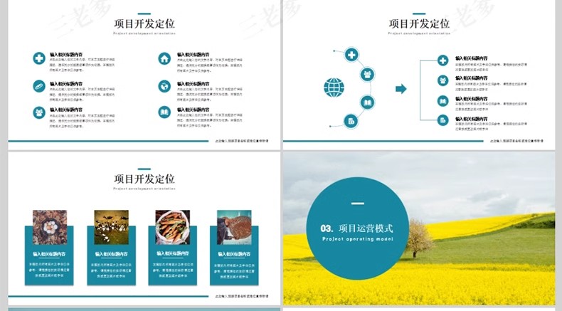 图片[15]-美丽乡村旅游振兴项目建设方案汇报计划书绿色生态新农村PPT模板-大怪兽分享
