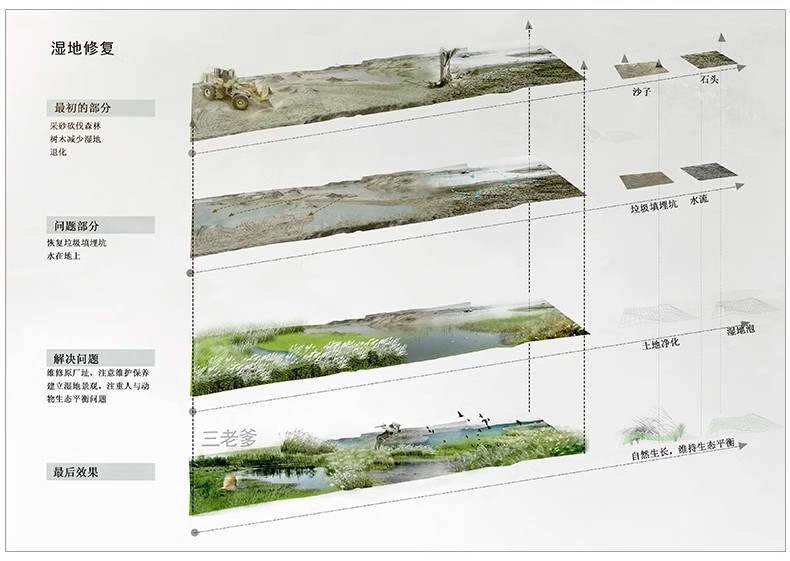 图片[20]-景观园林园艺植物配置PSD分层 绿植树木PS分析图种植搭配素材-大怪兽分享