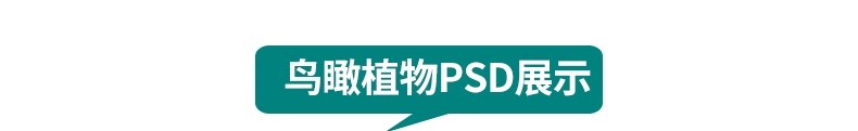 图片[22]-鸟瞰植物PSD分层素材合集景观园林建筑设计后期效果图树木ps花草-大怪兽分享