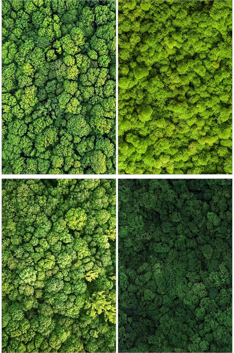 图片[21]-6000+，小清新PS彩平图园林景观规划总平面拼贴植物草地铺装纹理后期素材-大怪兽分享