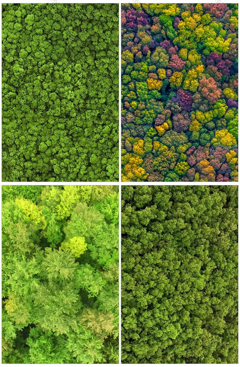 图片[22]-6000+，小清新PS彩平图园林景观规划总平面拼贴植物草地铺装纹理后期素材-大怪兽分享