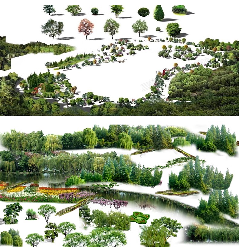 图片[31]-鸟瞰植物PSD分层素材合集景观园林建筑设计后期效果图树木ps花草-大怪兽分享