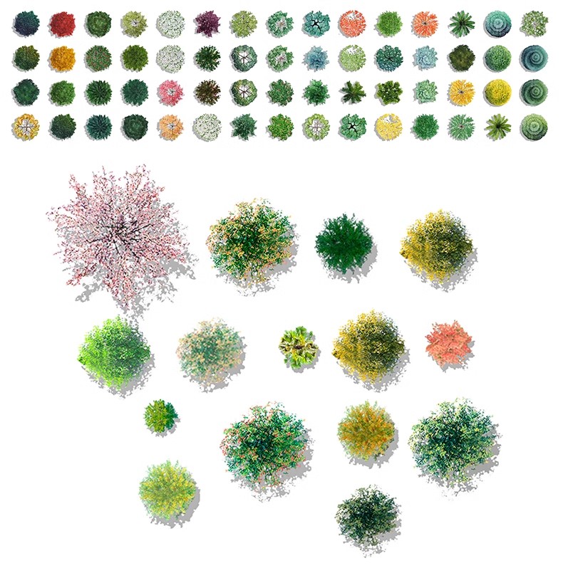 图片[22]-园林景观PS彩色总平面图案笔刷立面填充植物铺装psd分层设计素材-大怪兽分享