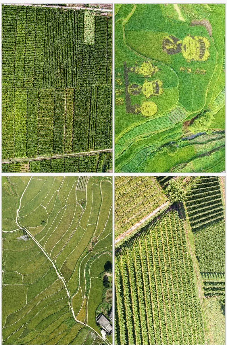 图片[29]-6000+，小清新PS彩平图园林景观规划总平面拼贴植物草地铺装纹理后期素材-大怪兽分享