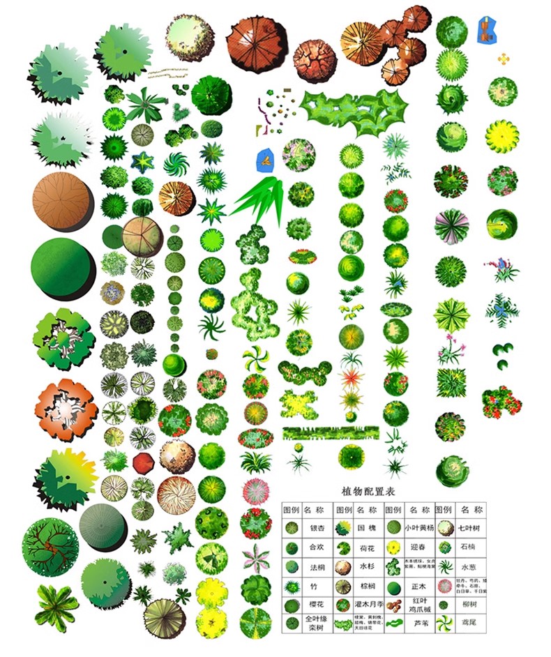 图片[26]-园林景观PS彩色总平面图案笔刷立面填充植物铺装psd分层设计素材-大怪兽分享