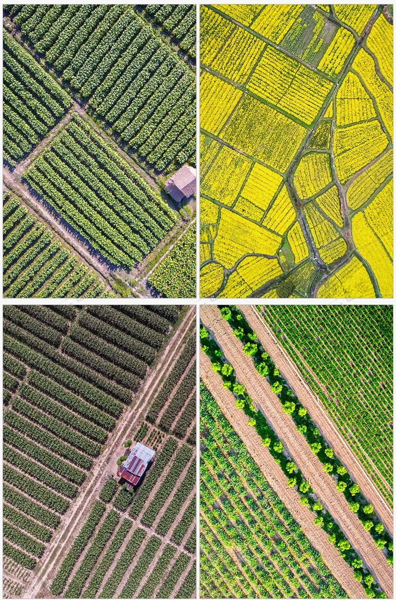 图片[30]-6000+，小清新PS彩平图园林景观规划总平面拼贴植物草地铺装纹理后期素材-大怪兽分享