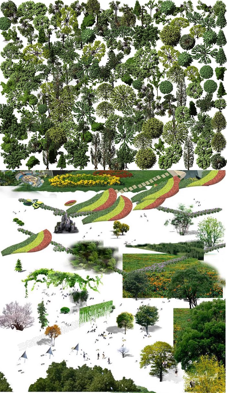 图片[37]-鸟瞰植物PSD分层素材合集景观园林建筑设计后期效果图树木ps花草-大怪兽分享