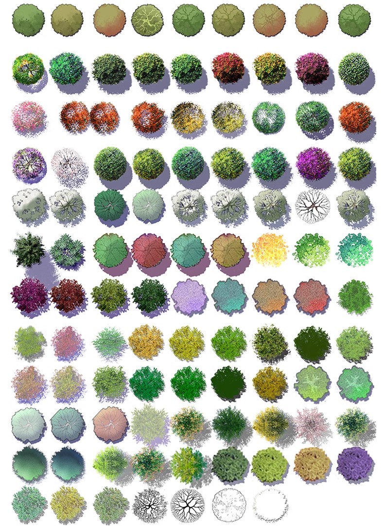 图片[27]-园林景观PS彩色总平面图案笔刷立面填充植物铺装psd分层设计素材-大怪兽分享