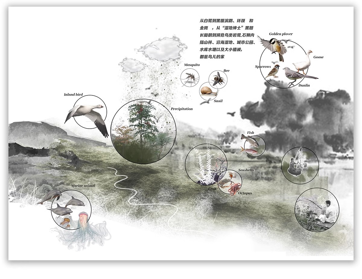 图片[59]-功能流线区位分析图PS建筑景观规划城规psd分层展板素材人群图标-大怪兽分享