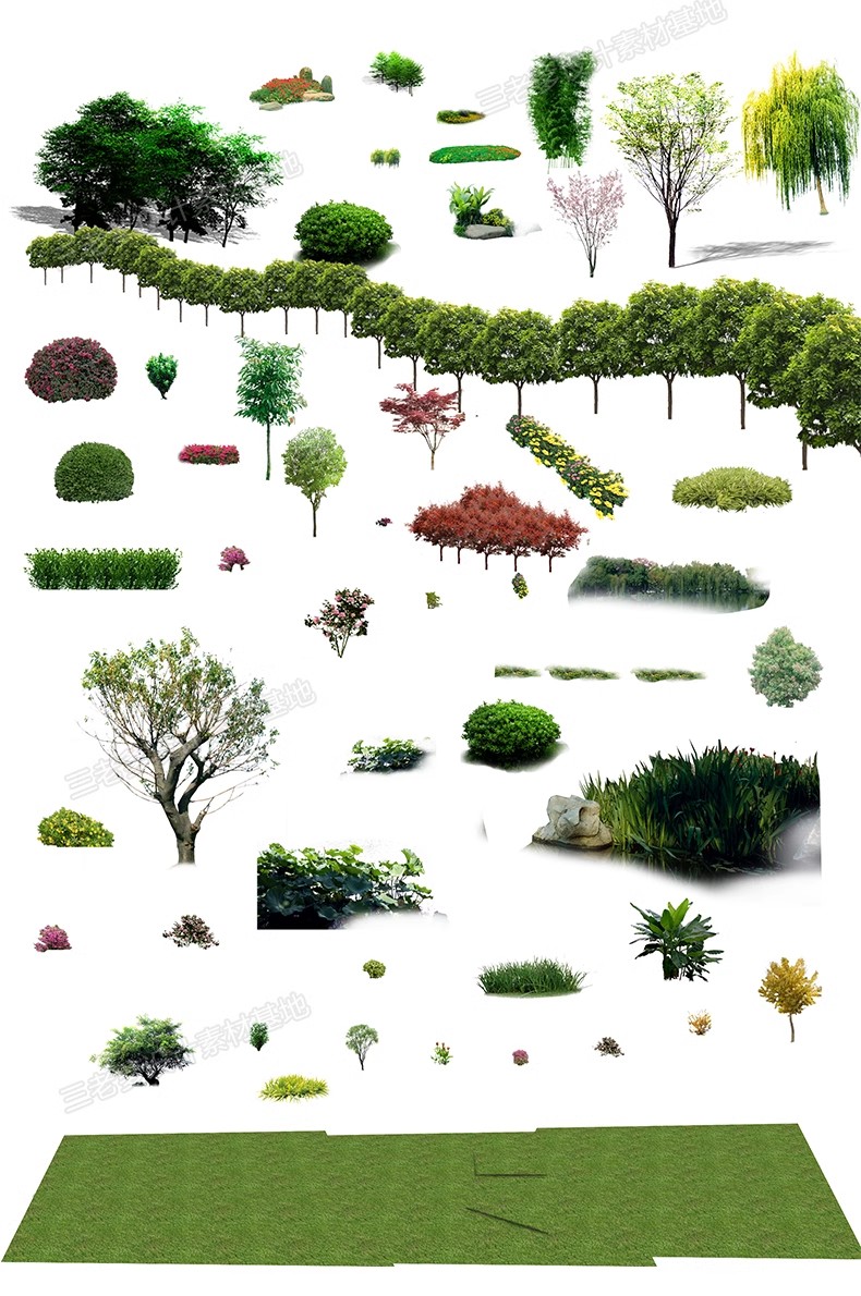 图片[41]-鸟瞰植物PSD分层素材合集景观园林建筑设计后期效果图树木ps花草-大怪兽分享