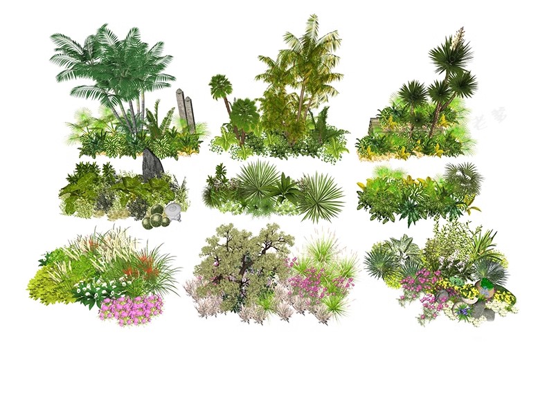 图片[22]-现代园林景观树SU模型植物组团乔木灌木地被花卉sketchup草图大师-大怪兽分享