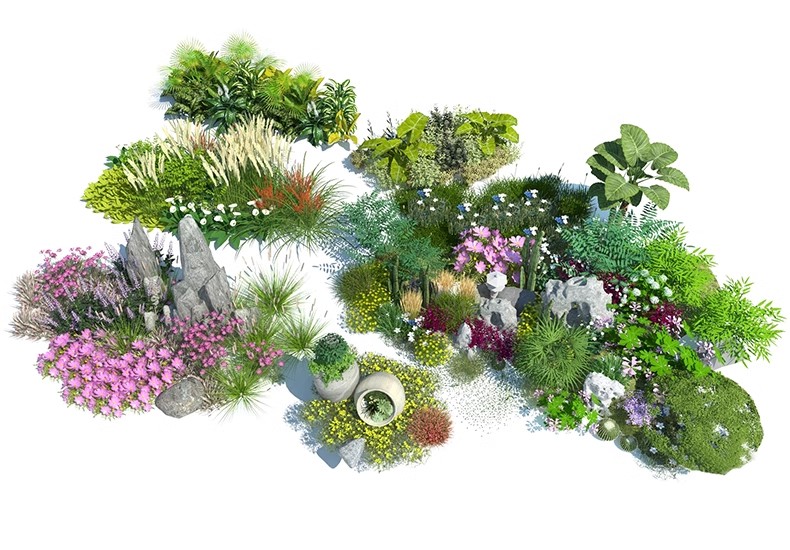 图片[24]-现代园林景观树SU模型植物组团乔木灌木地被花卉sketchup草图大师-大怪兽分享