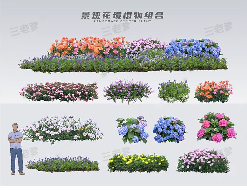 图片[34]-园林景观花镜花境植物配置地被花丛花草花卉草花组团搭配su模型库-大怪兽分享