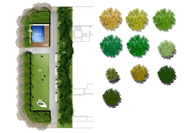 图片[34]-园林景观PS彩色总平面图案笔刷立面填充植物铺装psd分层设计素材-大怪兽分享