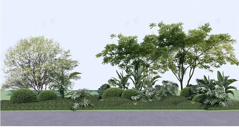 图片[25]-现代园林景观树SU模型植物组团乔木灌木地被花卉sketchup草图大师-大怪兽分享