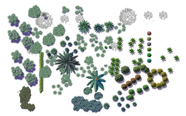 图片[35]-园林景观PS彩色总平面图案笔刷立面填充植物铺装psd分层设计素材-大怪兽分享