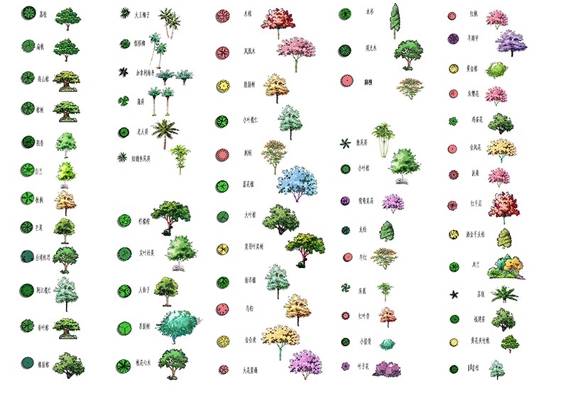 图片[36]-园林景观PS彩色总平面图案笔刷立面填充植物铺装psd分层设计素材-大怪兽分享