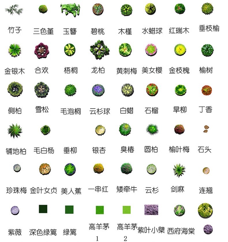 图片[37]-园林景观PS彩色总平面图案笔刷立面填充植物铺装psd分层设计素材-大怪兽分享