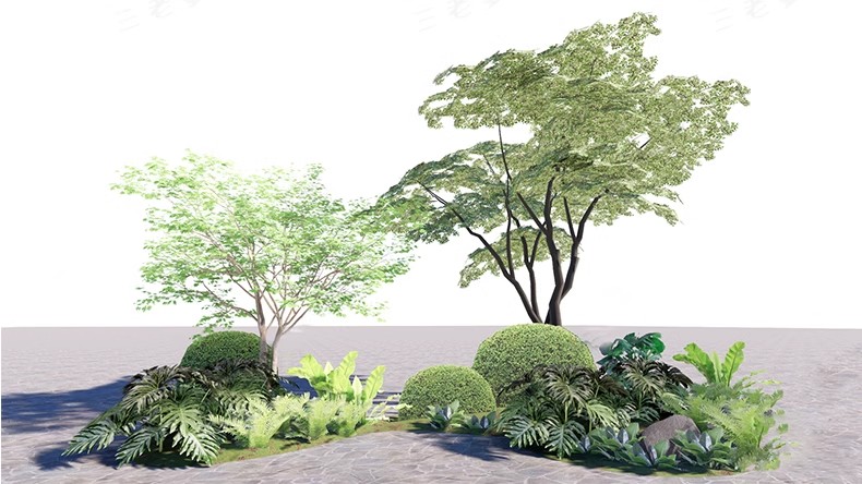 图片[28]-现代园林景观树SU模型植物组团乔木灌木地被花卉sketchup草图大师-大怪兽分享
