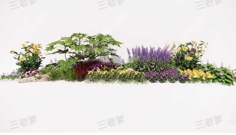 图片[38]-园林景观花镜花境植物配置地被花丛花草花卉草花组团搭配su模型库-大怪兽分享