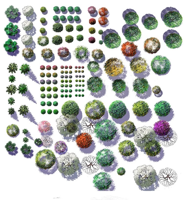 图片[38]-园林景观PS彩色总平面图案笔刷立面填充植物铺装psd分层设计素材-大怪兽分享