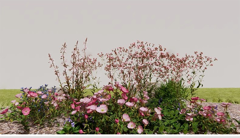 图片[39]-园林景观花镜花境植物配置地被花丛花草花卉草花组团搭配su模型库-大怪兽分享