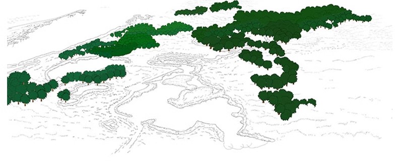 图片[39]-园林景观PS彩色总平面图案笔刷立面填充植物铺装psd分层设计素材-大怪兽分享