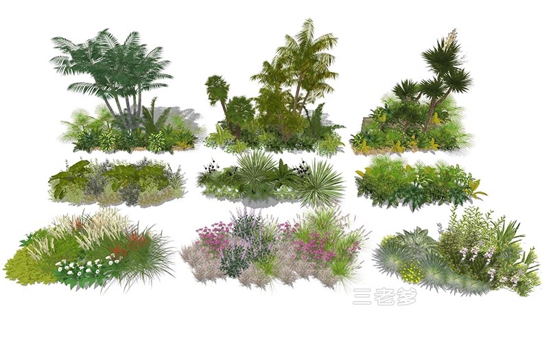 图片[30]-现代园林景观树SU模型植物组团乔木灌木地被花卉sketchup草图大师-大怪兽分享