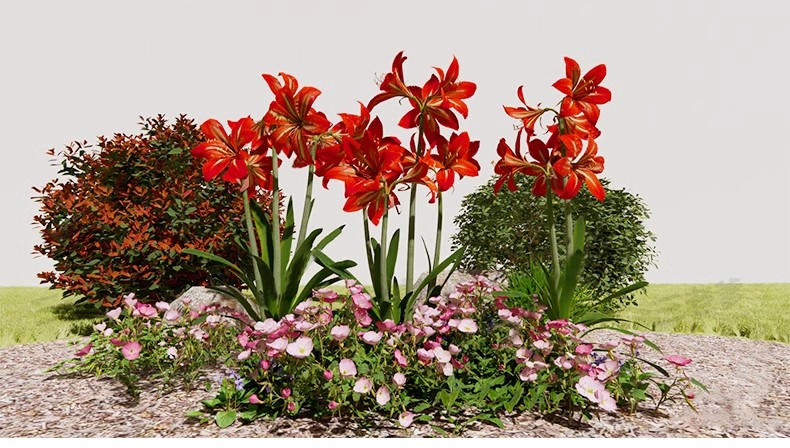 图片[40]-园林景观花镜花境植物配置地被花丛花草花卉草花组团搭配su模型库-大怪兽分享