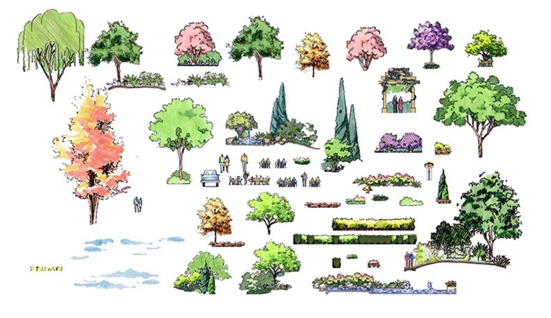 图片[40]-园林景观PS彩色总平面图案笔刷立面填充植物铺装psd分层设计素材-大怪兽分享