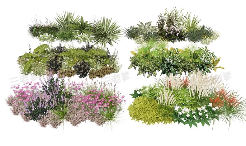 图片[41]-园林景观花镜花境植物配置地被花丛花草花卉草花组团搭配su模型库-大怪兽分享