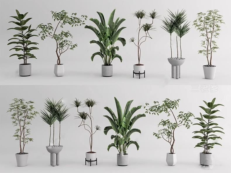 图片[22]-1750套，绿植植物花盆盆栽盆景松树单体草图大师SU模型室内花卉花草素材库-大怪兽分享