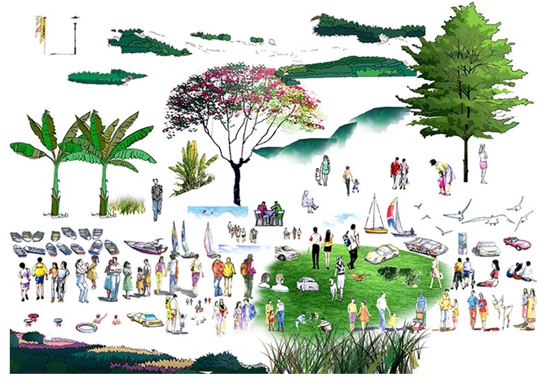 图片[42]-园林景观PS彩色总平面图案笔刷立面填充植物铺装psd分层设计素材-大怪兽分享