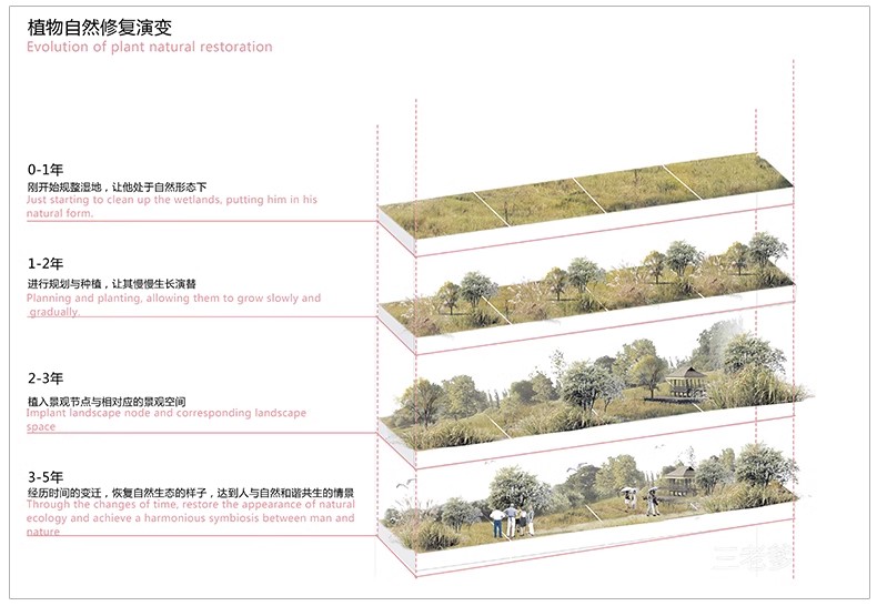 图片[23]-景观ps分析图素材竞赛风海绵城市公园街道驳岸PSD分层剖面图立面-大怪兽分享