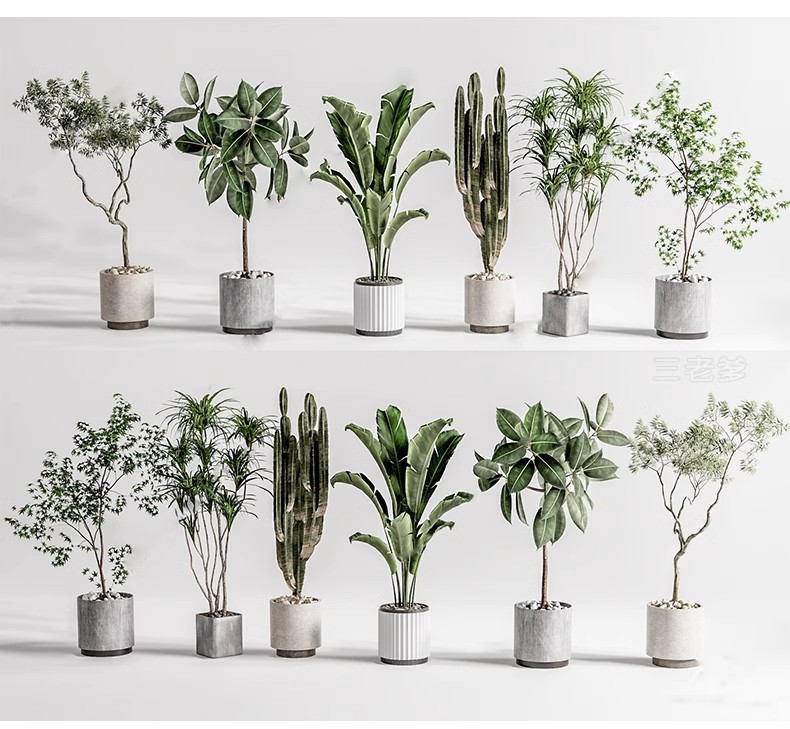 图片[23]-1750套，绿植植物花盆盆栽盆景松树单体草图大师SU模型室内花卉花草素材库-大怪兽分享