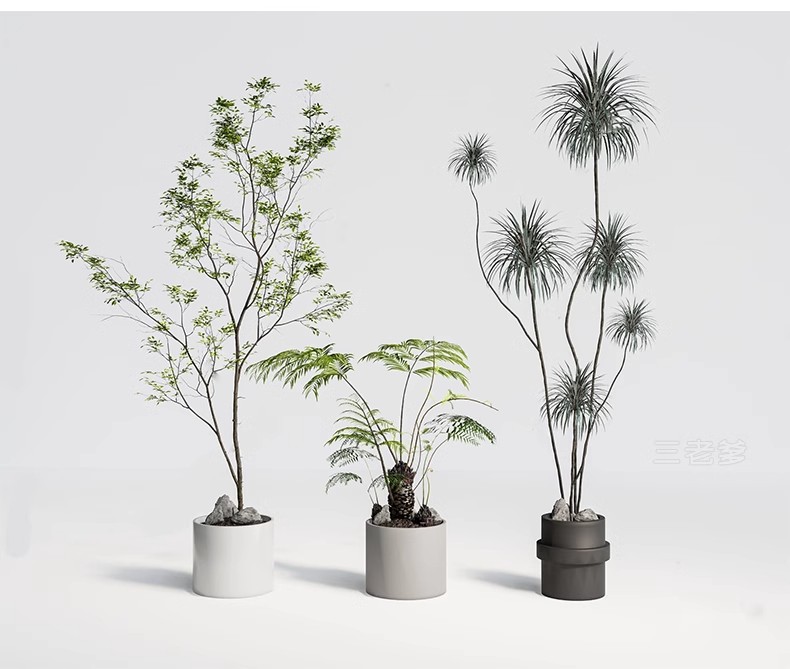 图片[24]-1750套，绿植植物花盆盆栽盆景松树单体草图大师SU模型室内花卉花草素材库-大怪兽分享