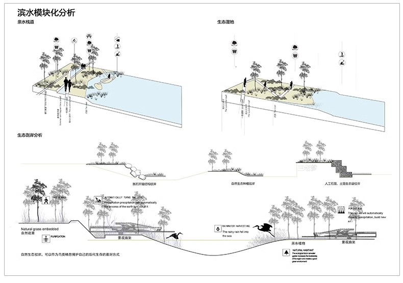 图片[25]-景观ps分析图素材竞赛风海绵城市公园街道驳岸PSD分层剖面图立面-大怪兽分享