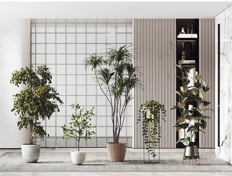 图片[27]-1750套，绿植植物花盆盆栽盆景松树单体草图大师SU模型室内花卉花草素材库-大怪兽分享