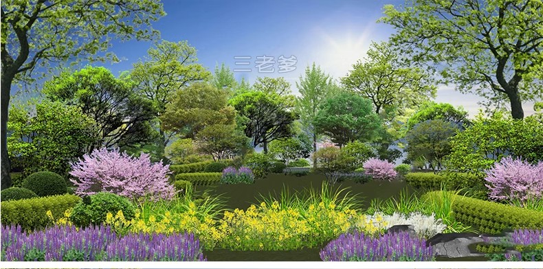 图片[36]-现代园林景观树SU模型植物组团乔木灌木地被花卉sketchup草图大师-大怪兽分享