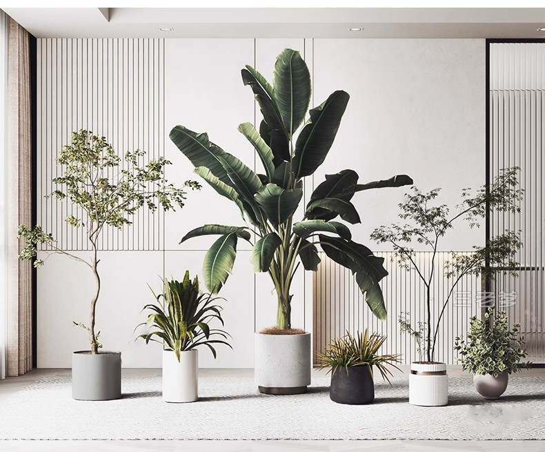 图片[28]-1750套，绿植植物花盆盆栽盆景松树单体草图大师SU模型室内花卉花草素材库-大怪兽分享